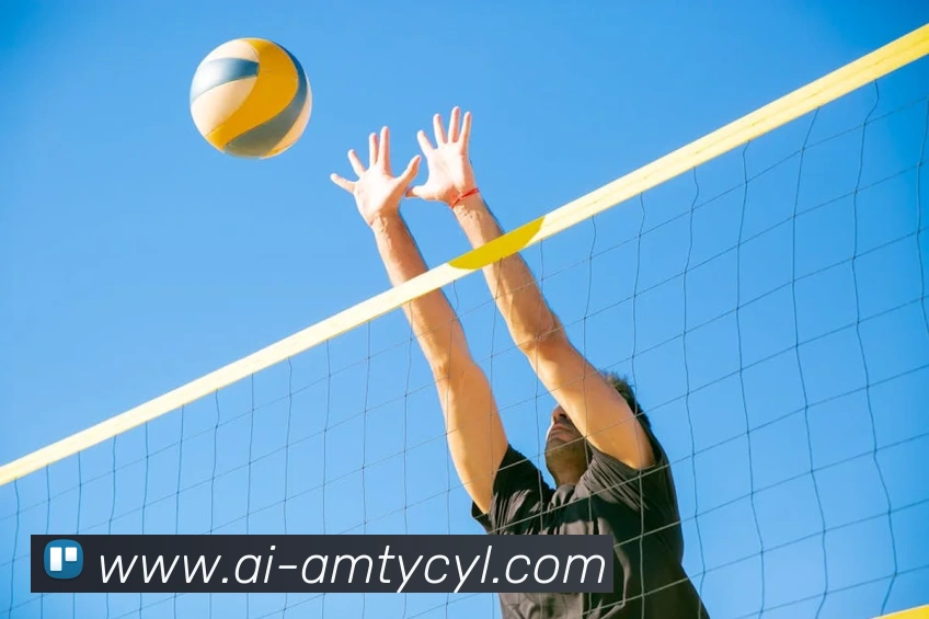 澳门太阳城品牌故事